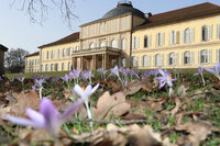 Foto: Schloss Hohenheim mit symmetrischem Design und Kuppeldach im Hintergrund. Im Vordergrund blühen lila Krokusse auf einer Wiese mit Herbstlaub.